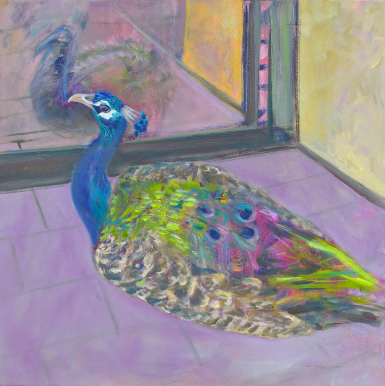 60 x 60 cm
