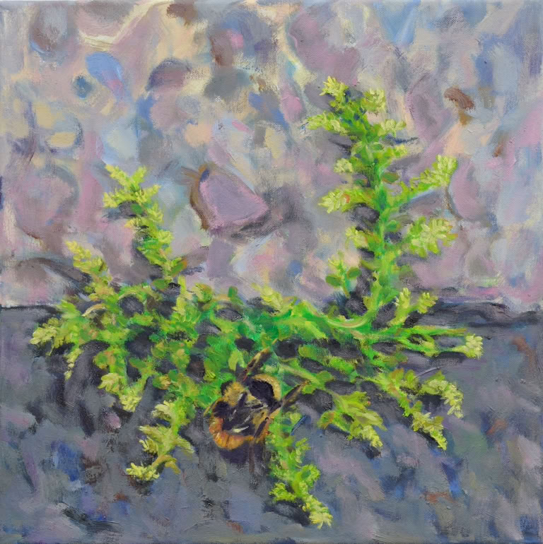 40 x 40 cm, Öl auf Nesselleinwand