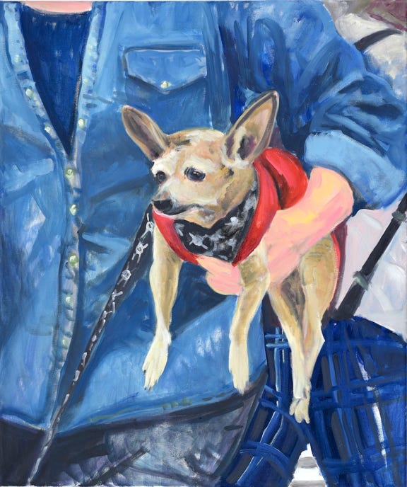 dog carried by jeans shirt