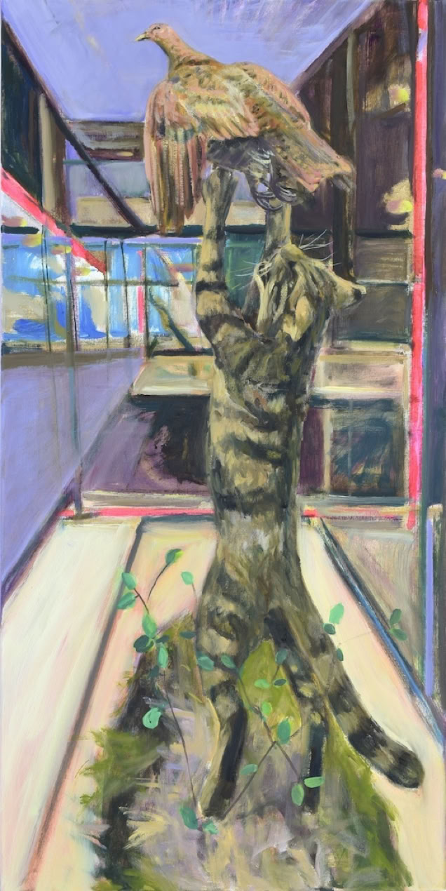 Katze im Käfig