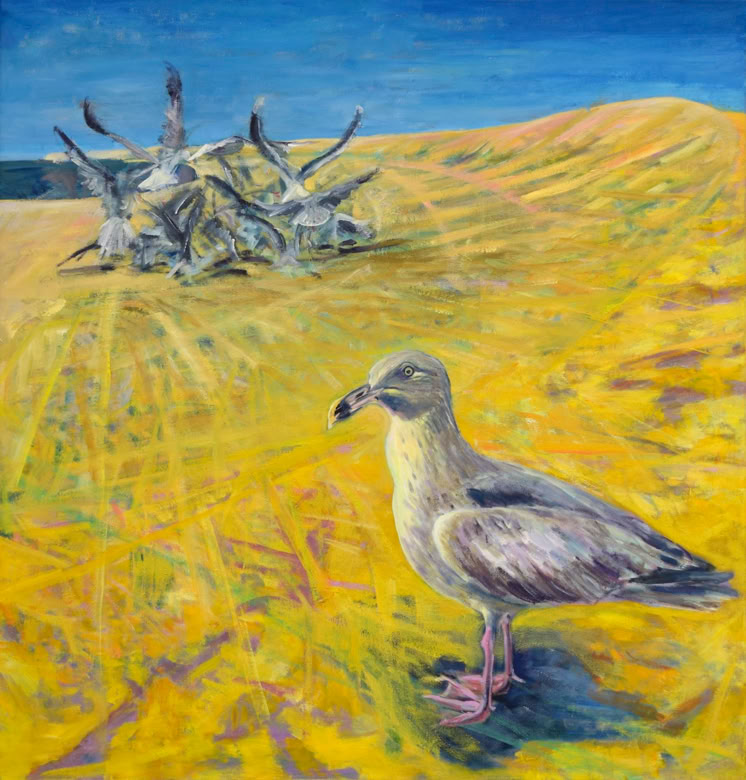 Möwen STrand