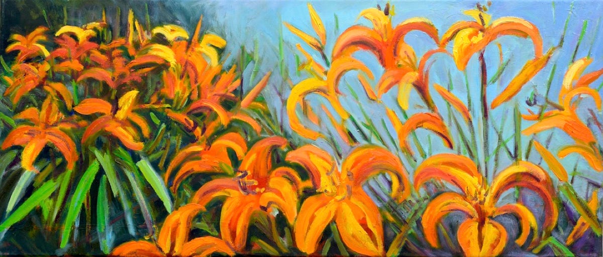 Hemerocallis orange