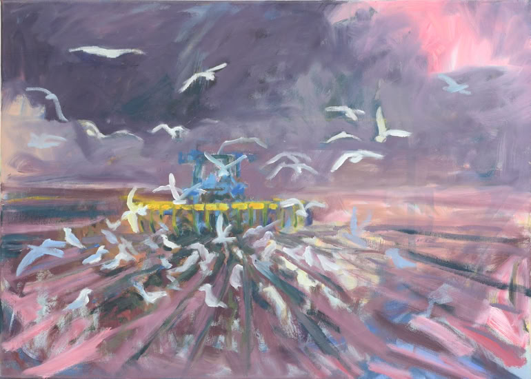 Möwen Pflug, 2017