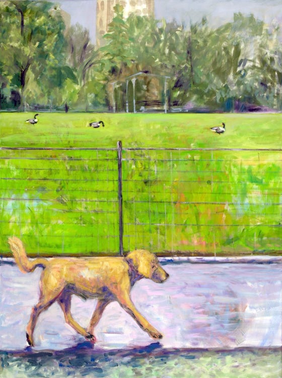 Dog in Park 