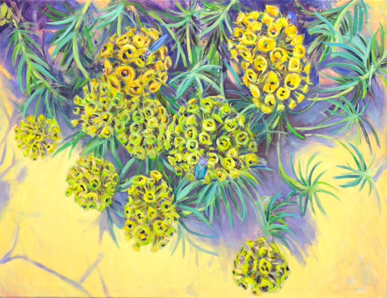 100 x 120 cm