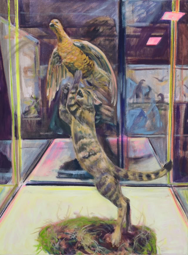 Katze  Jagd