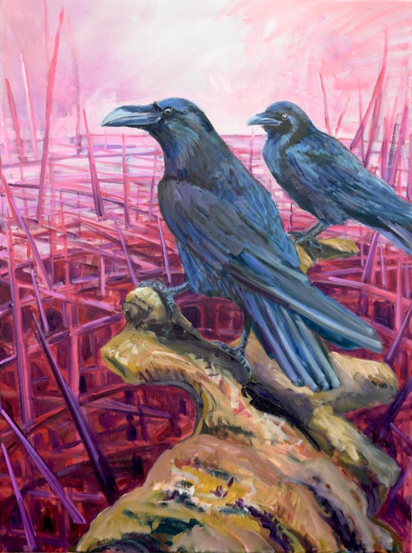 80 x 60 cm
