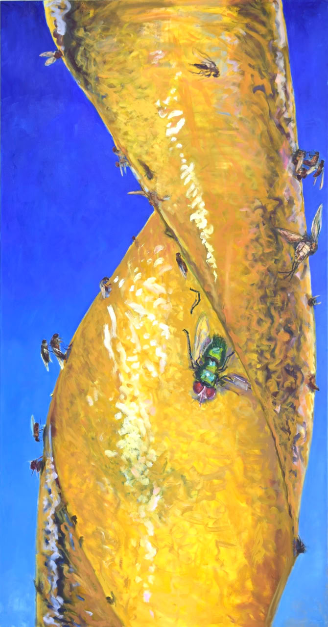 Fliegenfänger