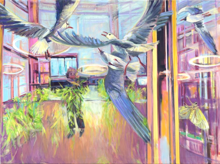 Möwen, Spiegelbild, Landschaft