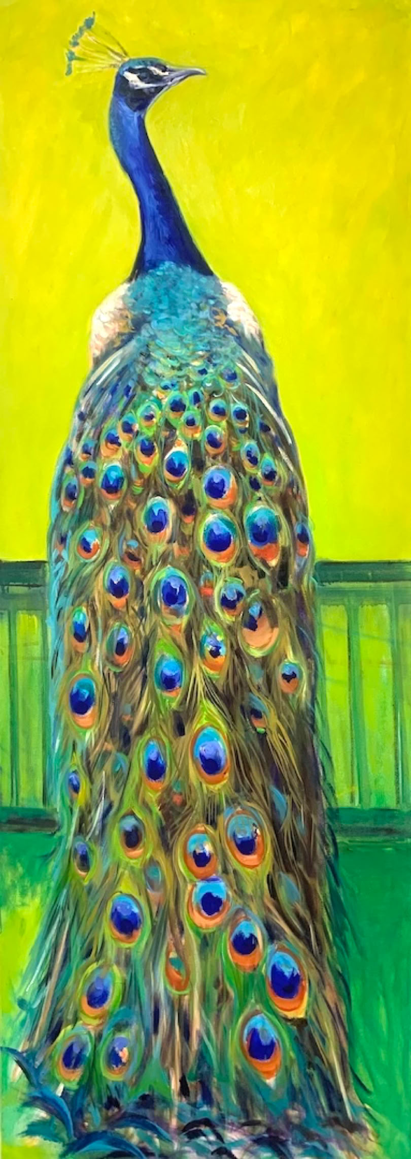 Pfau von hinten