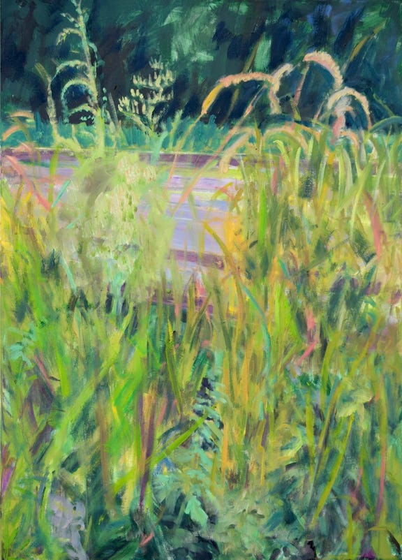 70 x 50 cm