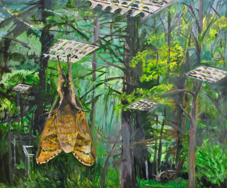 Grünes Fenster, 2018