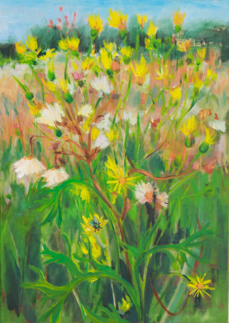 70 x 50 cm Öl auf Leinwand