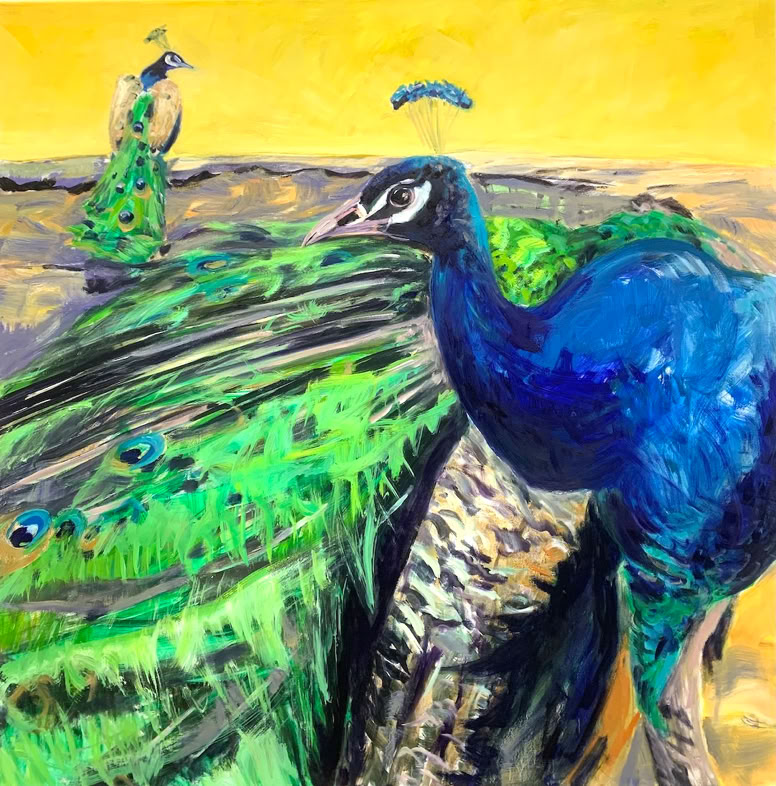  Pfau, Balz, Vögel