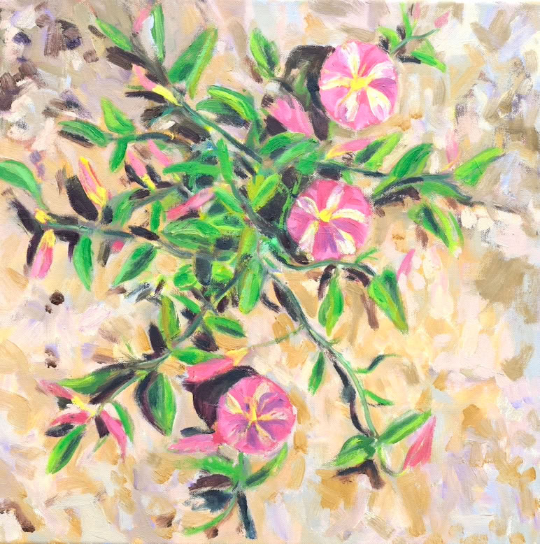 40 x 40 cm