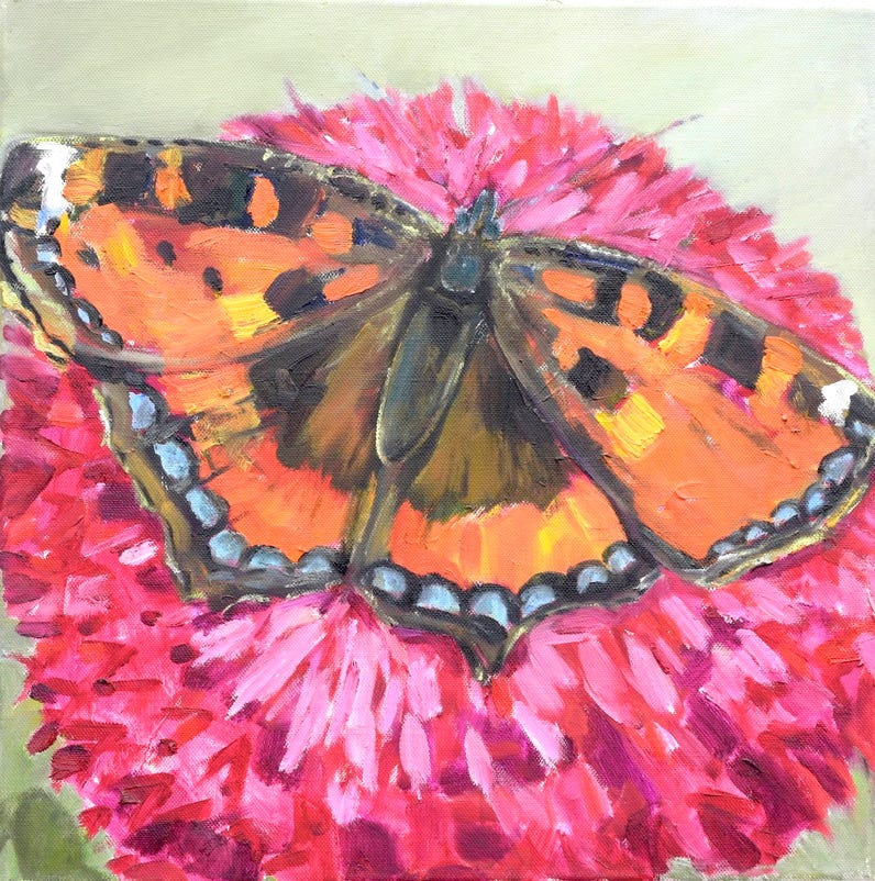 Schmetterling