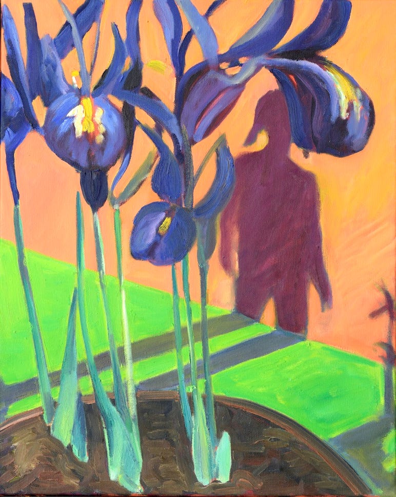 Schatten und Iris